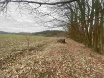 Prodej pozemku, Žinkovy, 4100 m2