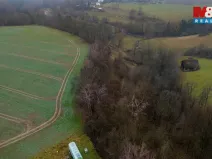 Prodej louky, Bílá - Hradčany, 6046 m2