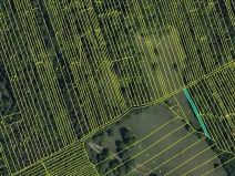 Prodej louky, Kněždub, 6886 m2