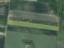 Prodej sadu/vinice, Želkovice, 8289 m2