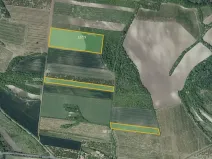 Prodej sadu/vinice, Želkovice, 133318 m2