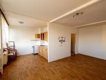 Pronájem bytu 1+1, Most, Javorová, 33 m2