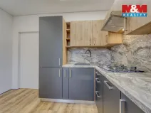 Prodej bytu 2+1, Plzeň - Východní Předměstí, Brojova, 56 m2