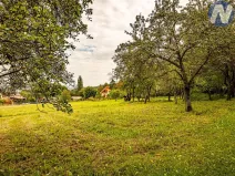 Prodej pozemku pro bydlení, Těšovice, 1670 m2