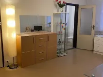 Pronájem bytu 3+1, Olomouc, Fischerova, 70 m2