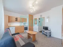 Prodej bytu 1+kk, Frýdek-Místek, J. E. Purkyně, 27 m2