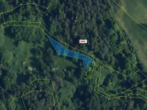 Dražba lesa, Český Dub, 662 m2