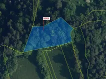 Dražba lesa, Český Dub, 2709 m2