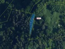 Dražba lesa, Český Dub, 448 m2