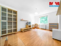 Pronájem bytu 1+1, Praskolesy, 30 m2