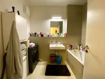 Prodej bytu 2+1, Brno, U Červeného mlýna, 56 m2