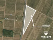 Prodej podílu pole, Hlohovec, 5055 m2