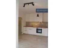 Pronájem bytu 1+kk, Brno, Rumiště, 25 m2