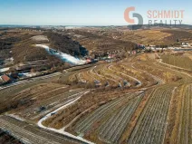 Prodej sadu/vinice, Němčičky, 4556 m2