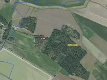 Prodej lesa, Němčice, 550 m2