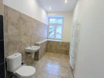 Pronájem bytu 2+kk, Peruc, U Koupaliště, 42 m2