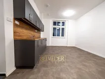Pronájem bytu 3+kk, Teplice, Pražská, 51 m2