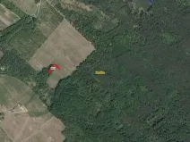 Prodej lesa, Horušice, 1029 m2