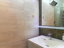 Pronájem bytu 1+kk, Praha - Holešovice, U průhonu, 22 m2