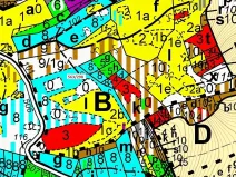 Dražba lesa, Spešov, 1372 m2