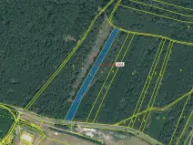 Dražba lesa, Jesenice, 4076 m2