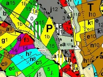 Dražba lesa, Jílové u Držkova, 5751 m2