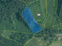 Dražba lesa, Rabí, 7006 m2