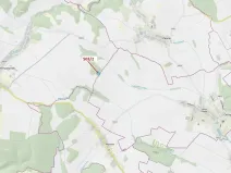 Dražba lesa, Přemyslovice, 6942 m2