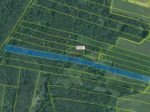 Dražba lesa, Jílovice, 13375 m2