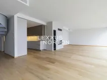 Pronájem bytu 4+kk, Praha - Smíchov, Holečkova, 211 m2