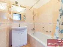 Prodej bytu 2+1, Olomouc, Sienkiewiczova, 52 m2