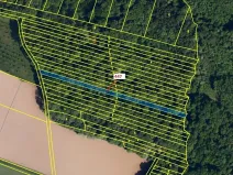 Dražba lesa, Hradčany-Kobeřice, 1989 m2