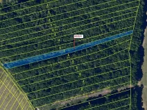 Dražba lesa, Archlebov, 2108 m2