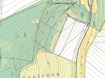 Dražba lesa, Jenišovice, 2305 m2