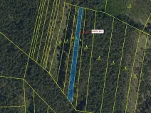 Dražba lesa, Vracov, 1174 m2