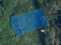 Dražba lesa, Benešov u Semil, 2540 m2