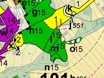 Dražba lesa, Semily, 1939 m2