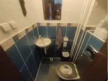 Dražba rodinného domu, Frýdek-Místek, Palkovická, 187 m2