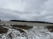 Dražba pole, Vyškov, 89174 m2