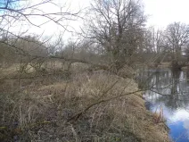 Prodej pozemku, Novosedly nad Nežárkou, 6591 m2