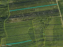 Prodej pole, Hradčovice, 19465 m2