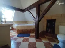 Pronájem bytu, Mirošovice, Karlín, 15 m2