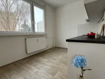 Pronájem bytu 3+1, Česká Lípa, Okružní, 65 m2