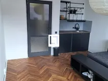 Pronájem bytu 1+kk, Brno, Halasovo náměstí, 24 m2