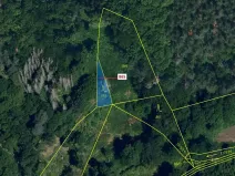 Dražba lesa, Dešov, 111 m2