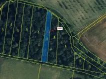 Dražba lesa, Hradčany-Kobeřice, 1221 m2