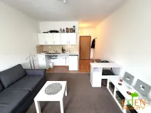 Pronájem bytu 1+kk, Plzeň, Na Dlouhých, 25 m2