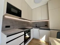 Pronájem bytu 1+kk, Praha - Nusle, Závišova, 33 m2