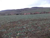 Prodej pozemku, Morkůvky, 6867 m2