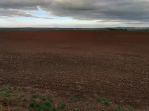 Prodej podílu pole, Červené Pečky, 5013 m2